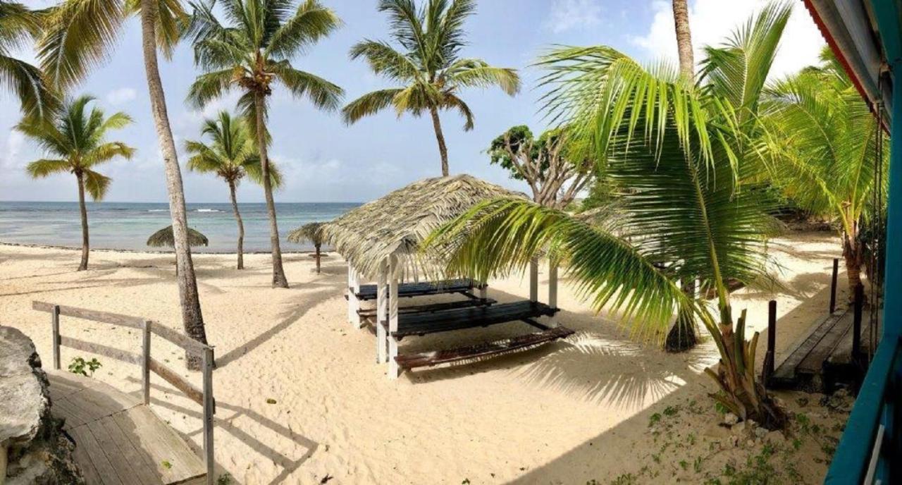Studio Mojito Vue Mer,Piscine Avec Cuve Eau Et Acces Plage Et Piscine Anse Des Rochers Saint-Francois  Exterior photo