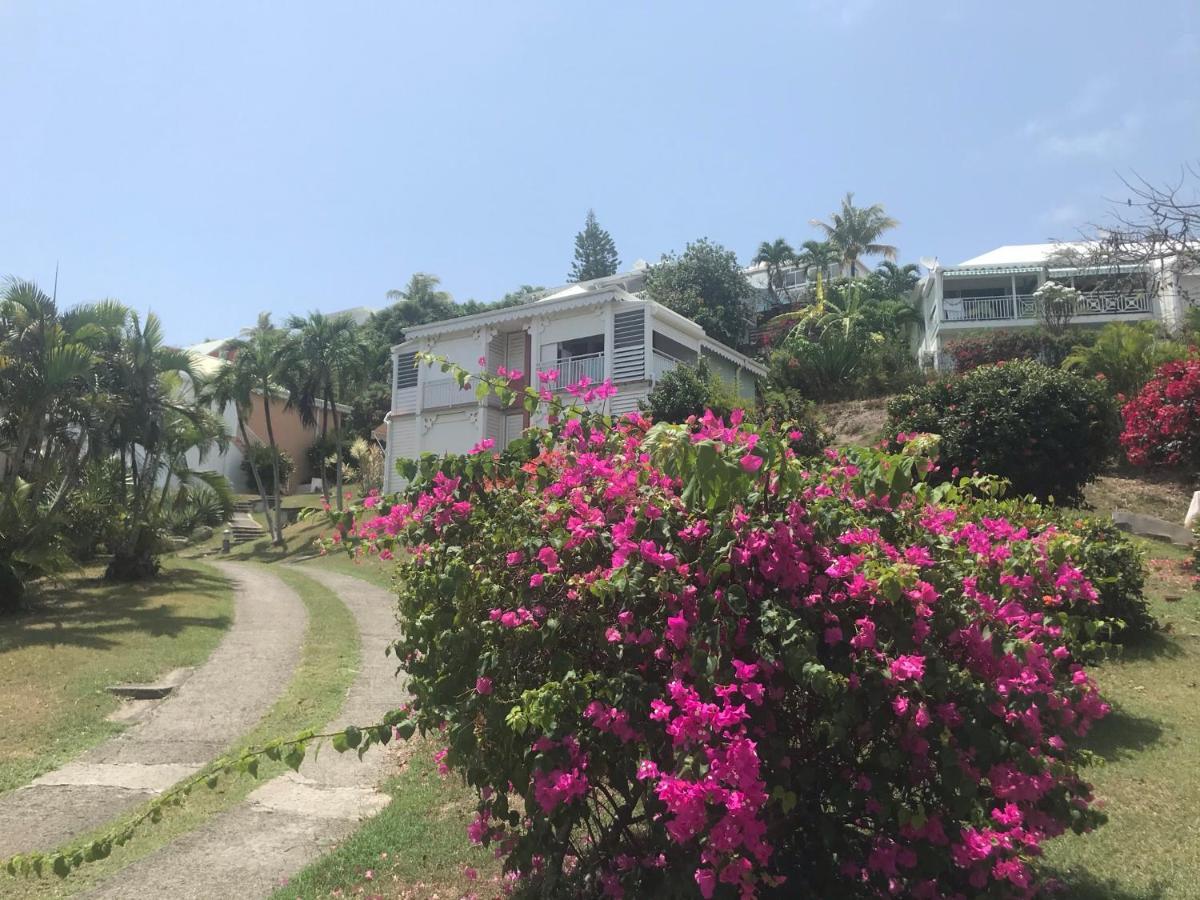 Studio Mojito Vue Mer,Piscine Avec Cuve Eau Et Acces Plage Et Piscine Anse Des Rochers Saint-Francois  Exterior photo