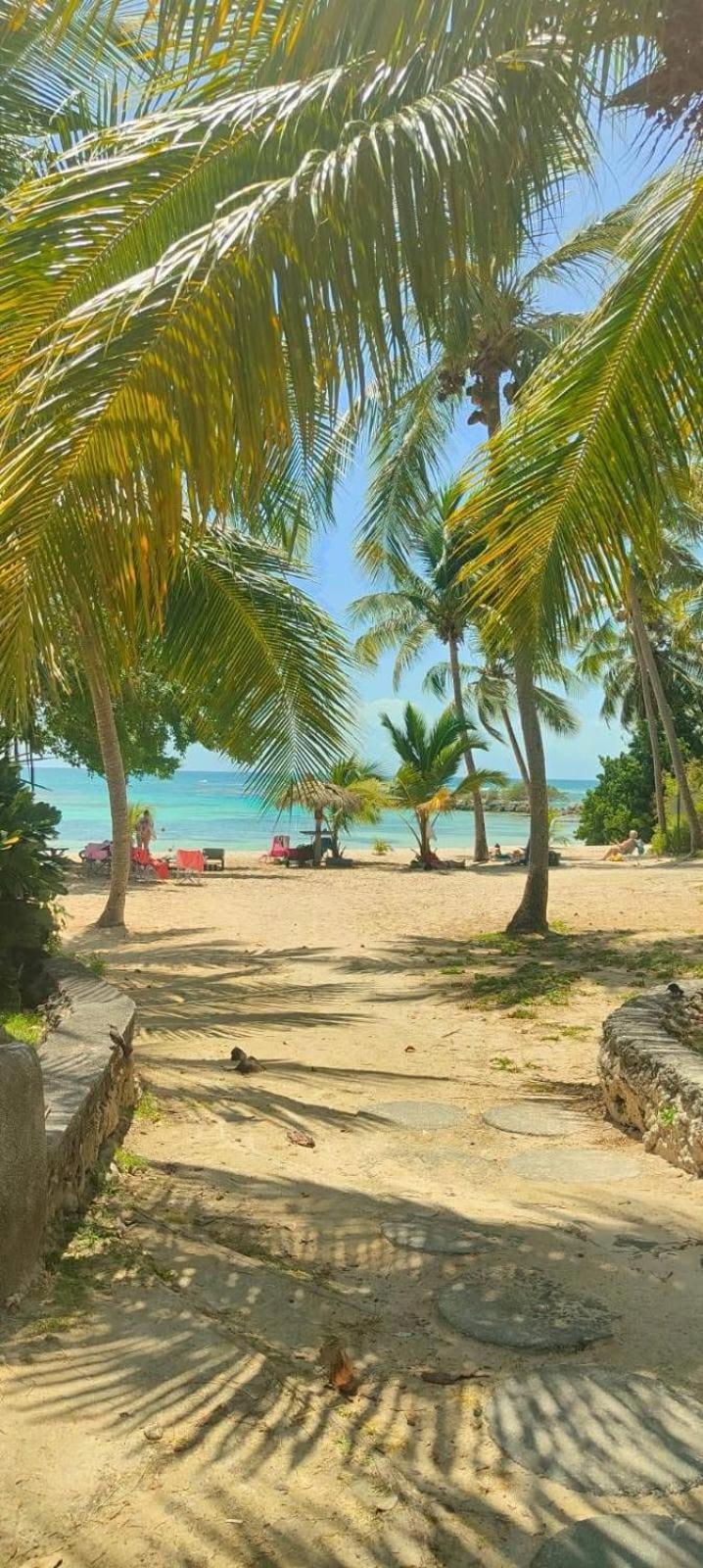 Studio Mojito Vue Mer,Piscine Avec Cuve Eau Et Acces Plage Et Piscine Anse Des Rochers Saint-Francois  Exterior photo